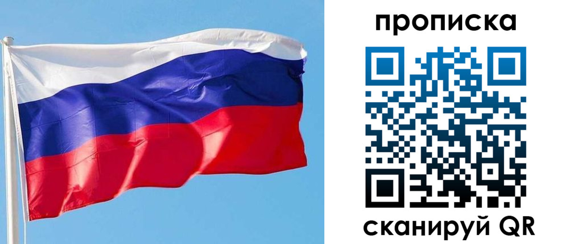 прописка поиск в Ногинске
